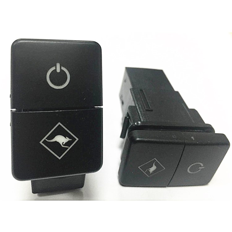 Custom dual push button switch